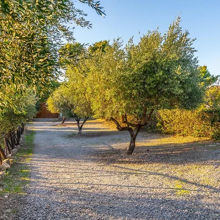 La Dimora Dei Nonni Bed and Breakfast Albidona